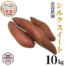シルクスイート約10kg (茨城県共通返礼品／行方市) 2025年11月から発送開始 渋谷農園 さつまいも いも 芋 焼き芋 [DT010sa]