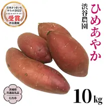 ひめあやか 約10kg (茨城県共通返礼品／行方市) 2025年11月から発送開始 渋谷農園 さつまいも いも 芋 焼き芋 [DT008sa]