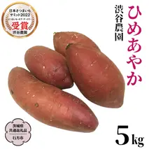 ひめあやか 約5kg (茨城県共通返礼品／行方市) 2025年11月から発送開始 渋谷農園 さつまいも いも 芋 焼き芋 [DT007sa]