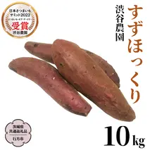 すずほっくり 約10kg 【茨城県共通返礼品／行方市】 渋谷農園 さつまいも  いも 芋 焼芋 [DT006sa]