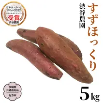 すずほっくり 約5kg 【茨城県共通返礼品／行方市】 渋谷農園 さつまいも  いも 芋 焼芋 [DT005sa]