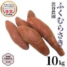 ふくむらさき 約10kg (茨城県共通返礼品／行方市) 2025年11月から発送開始 渋谷農園 さつまいも いも 芋 焼き芋 [DT004sa]