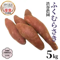 ふくむらさき 約5kg (茨城県共通返礼品／行方市) 2025年11月から発送開始 渋谷農園 さつまいも いも 芋 焼き芋 [DT003sa]