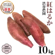 2025年度産 紅はるか 約10kg 【茨城県共通返礼品／行方市】 渋谷農園 さつまいも いも 芋 焼芋 [DT002sa]
