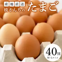 枝さんちのたまご 40個 (M～L40個) 産地直送 たまご 玉子 生卵 鶏卵 タマゴ 平飼い 桜川市産 茨城県産 卵 非遺伝子組換え [BT007sa]