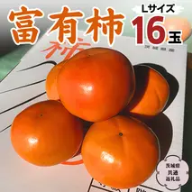 【 先行予約 2025年11月中旬以降発送 】富有柿 L 16玉 (茨城県共通返礼品 石岡市)  果物 くだもの フルーツ 柿 かき [DC001sa]