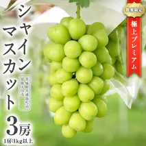 【2026年9月中旬発送開始】極上 プレミアム シャインマスカット ３房 ( １房 1kg 以上) 数量限定 【茨城県共通返礼品／常陸太田市】 桧山果樹園 農家直送 桧山果樹園 農家直送 フルーツ  甘い 直送 茨城 限定 ギフト ぶどう シャインマスカット 旬 贈答 果物 [DU017sa]