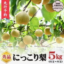 【2025年9月下旬から発送開始】《秀品》 にっこり梨 5kg 6玉 ～ 8玉 （茨城県共通返礼品／かすみがうら市） 鈴木農園 産地直送 フルーツ 甘い 直送 茨城 限定 にっこり [ED001sa]