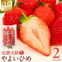 【 2026年1月上旬発送開始 】 完熟 やよいひめ 約260g×2P 国産 いちご イチゴ 苺 果物 フルーツ [BC026sa]