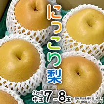 【 先行予約 】 にっこり梨 約3kg 箱 中玉 7玉～8玉 (茨城県共通返礼品 城里町) 2025年11月上旬から発送開始 フルーツ 甘い お正月 クリスマス 大玉 直送 茨城 限定[CO002sa]