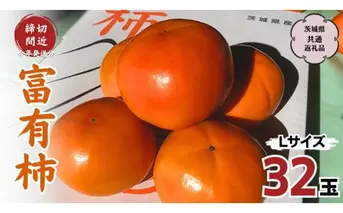 【今年のお届け分、締切間近！】 富有柿 L 32玉 (茨城県共通返礼品 石岡市) 果物 くだもの フルーツ 柿 かき [DC002sa]	