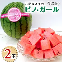 こだまスイカ ピノ・ガール（2玉） 【2026年5月中旬より発送開始】感動必至！ タネが気にならない スイカ 西瓜 小玉スイカ 小玉 果物 くだもの フルーツ 美味しい 茨城 [BC028sa]