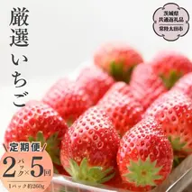 【2026年 先行予約】【定期 毎月お届けコース】厳選いちご 2パック×5回（茨城県共通返礼品／常陸太田市） 2026年1月発送開始 フルーツ 苺 イチゴ いちご 新鮮 朝採れ 茨城県 桧山FRUITFARM