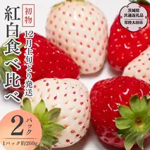 【 先行予約 】初物 紅白 食べ比べ いちご （ 2パック × 1箱 ) （茨城県共通返礼品／常陸太田市） 2025年12月上旬発送開始 フルーツ 苺 イチゴ いちご 新鮮 朝採れ 茨城県 桧山FRUITFARM [DY017sa]