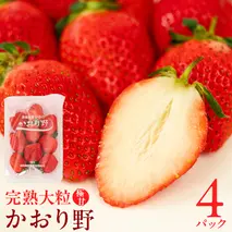 【 2026年1月上旬発送開始 】 完熟 かおり野 260g×4P 国産 いちご イチゴ 苺 果物 フルーツ 茨城県産 KEK 果物 フルーツ [BC032sa]