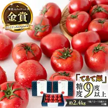 《 テレビで紹介 》【 2026年収穫分 先行予約 】 糖度9度以上 スーパーフルーツトマト てるて姫 中箱 約1.2kg × 2箱 【12〜15玉/1箱】 フルーツトマト ブランドトマト 野菜 ギフト 贈答 青空レストラン アド街ック天国 グッドモーニング 黄金のワンスプーン [BC034sa]