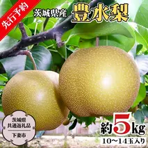 【 先行予約 】 茨城県産 豊水 梨5kg 10玉～14玉入り   (茨城県共通返礼品 ／下妻市） ( 2024年8月上旬発送開始 )  梨 数量限定 なし ナシ フルーツ 果物 旬 産地直送 JA 常総ひかり [DF002sa]