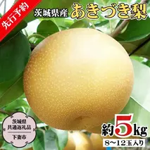 【 先行予約 】 茨城県産 あきづき 梨 5kg 8玉～12玉入り  (茨城県共通返礼品／下妻市）  ( 2024年8月上旬発送開始 )  梨 数量限定 なし ナシ フルーツ 果物 旬 産地直送 JA 常総ひかり  [DF003sa]
