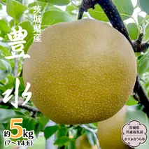 豊水 約 5kg 7玉～14玉 (茨城県共通返礼品 かすみがうら市) 産地直送 久保田果樹園 フルーツ 甘い 直送 茨城 限定 ギフト 梨 豊水 ほうすい 果物 [DH002sa]