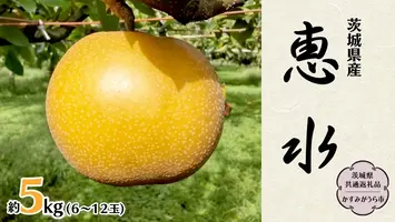 【 先行予約 】 茨城県産 梨 恵水 約5kg 6玉～12玉 (茨城県共通返礼品 かすみがうら市) (2025年9月中旬発送開始) 産地直送 久保田果樹園 フルーツ 甘い 直送 茨城 限定 ギフト 梨 恵水 けいすい 果物 [DH003sa]