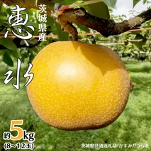 恵水 約 5kg 8玉～12玉 (茨城県共通返礼品 かすみがうら市) 産地直送 久保田果樹園 フルーツ 甘い 直送 茨城 限定 ギフト 梨 恵水 けいすい 果物 [DH003sa]