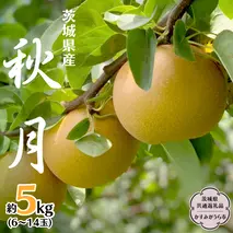 秋月 約 5kg 6玉～14玉 (茨城県共通返礼品 かすみがうら市) 産地直送 久保田果樹園 フルーツ 甘い 直送 茨城 限定 ギフト 梨 秋月 あきづき 果物 [DH004sa]