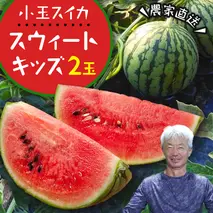【2026年5月下旬より発送開始】 小玉 スイカ スウィートキッズ 2玉 セット 先行予約 小玉スイカ すいか 西瓜 こだますいか フルーツ 果物 くだもの 農家直送 旬 甘い ギフト 人気 産直 [CQ001sa]