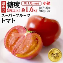 《 2026年収穫分 先行予約 》 訳あり 糖度9度以上 スーパーフルーツトマト 小箱 約800g × 2箱 (7～20玉/1箱) フルーツトマト ブランドトマト 野菜 ギフト 贈答 [BC043sa]