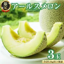 【2025年8月下旬発送開始】 季節 限定 ！ 甘さ満点 アールスメロン 3玉 入箱 果物 フルーツ 農家直送 産直 青肉メロン 特産品 マスクメロン メロン くだもの 茨城 [BC044sa]