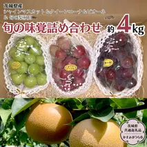 【 先行予約 】 茨城県産【 旬の味覚 】シャインマスカット クイーンニーナ と ピオーネ と 旬 の梨 秋月の詰め合わせ 約4kg (茨城県共通返礼品 かすみがうら市)  (2025年9月上旬発送開始) 久保田果樹園 産地直送 フルーツ 甘い 直送 茨城 限定 ギフト ぶどう シャインマスカット クイーンニーナ 秋月 詰め合わせ 食べ比べ 果物 [DH013sa]