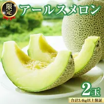 【2025年8月下旬発送開始】 季節 限定 ！甘さ満点 アールスメロン 2玉 入箱 果物 フルーツ 農家直送 産直 青肉メロン 特産品 マスクメロン メロン くだもの 茨城 [BC045sa]