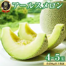 【2025年8月下旬発送開始】 季節 限定 ！甘さ満点 アールスメロン 大箱 （ 4〜5玉 ） 果物 フルーツ 農家直送 産直 青肉メロン 特産品 マスクメロン メロン くだもの 茨城 [BC046sa]