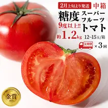《 2026年収穫分 先行予約 》《 3回 定期便 》 糖度9度以上 スーパーフルーツトマト 中箱 約1.2kg × 1箱 × 3回 フルーツトマト ブランドトマト 野菜 ギフト 贈答 [BC049sa]