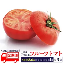 《 2026年収穫分 先行予約 》《 3回 定期便 》 糖度7度以上 フルーツトマト 大箱 約2.6kg × 1箱 × 3回 ブランドトマト 野菜 ギフト 贈答 [BC053sa]