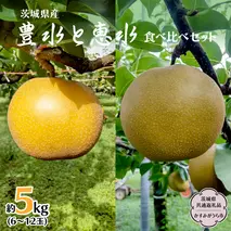 豊水 ・ 恵水 食べ比べ セット 約 5kg (茨城県共通返礼品 かすみがうら市) 産地直送 久保田果樹園 フルーツ 甘い 直送 茨城 限定 ギフト 梨 豊水 ほうすい 恵水 けいすい 食べ比べ 果物 [DH016sa]