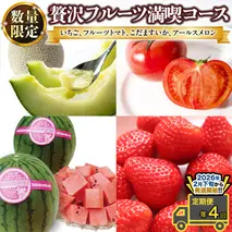 【 定期便 】【 2026年2月下旬から発送開始 全4回 】 数量限定 贅沢 フルーツ 満喫コース 旬の果実 旬のフルーツ くだもの 果実 トマト フルーツトマト スイカ いちご メロン 特選 贅沢 厳選 定期便 [BC056sa]