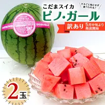 【 訳あり 】 こだまスイカ ピノ・ガール （ ２玉 ）【 2026年5月中旬より発送開始 】 感動必至！ タネが気にならない すいか スイカ 西瓜 旬 旬の果実 旬のフルーツ くだもの 果実 フルーツ 夏 小玉スイカ 小玉 美味しい 茨城 [BC059sa]