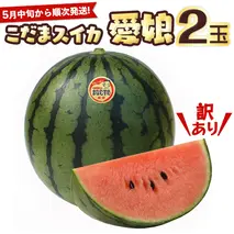 【訳あり】 際まで甘い こだまスイカ　愛娘（２玉）【2026年5月中旬より発送開始】スイカ 西瓜 旬 旬の果実 旬のフルーツ くだもの 果実 フルーツ 夏 小玉スイカ 小玉 果物 美味しい [BC061sa]