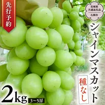 【 2025年9月上旬発送開始 】 シャインマスカット 約2kg (茨城県共通返礼品 石岡市） 開田ぶどう園 産地直送 フルーツ 甘い 直送 茨城 限定 ギフト ぶどう シャインマスカット 果物 [DO005sa]