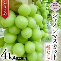 【 2025年9月上旬発送開始 】 シャインマスカット 約4kg (茨城県共通返礼品 石岡市） 開田ぶどう園 産地直送 フルーツ 甘い 直送 茨城 限定 ギフト ぶどう シャインマスカット 果物 [DO006sa]
