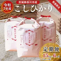 《6ヶ月定期便》【生産者支援】《令和7年産》新米 茨城県桜川市産こしひかり 15kg（5kg×3袋）×6回 茨城県産 桜川 米 お米 白米 コメ ごはん 精米 コシヒカリ 国産 限定 銘柄米 [SC036sa]