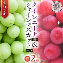 【 2025年9月上旬発送開始 】 クインニーナ ＆ シャインマスカット 詰め合わせ 約2kg (茨城県共通返礼品 石岡市） 開田ぶどう園 産地直送 フルーツ 甘い 直送 茨城 限定 ギフト ぶどう クインニーナ シャインマスカット 果物 [DO008sa]