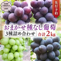 【 2025年9月中旬発送開始 】 おまかせ 種なし葡萄 3種 詰め合わせ 約2kg (茨城県共通返礼品 石岡市） 開田ぶどう園 産地直送 フルーツ 甘い 直送 茨城 限定 ギフト ぶどう シャインマスカット ナガノパープル 果物 [DO010sa]
