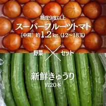 糖度9度以上 トマト 【 2025年収穫分 先行予約 】 スーパーフルーツトマト 中箱 約1.2kg（12～18玉）糖度9度以上 ＆ 新鮮 きゅうり 約20本 野菜セット 2025年2月上旬発送開始 とまと トマト 胡瓜 キュウリ 野菜 サラダ [BC063sa]