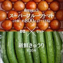 糖度9度以上 トマト 【 2025年収穫分 先行予約 】 スーパーフルーツトマト 小箱 約800g (7～13玉) 糖度9度以上 ＆ 新鮮 きゅうり 約20本 野菜セット 2025年2月上旬発送開始 とまと トマト 胡瓜 キュウリ 野菜 サラダ [BC064sa]