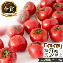 【12/31まで特別内容！コシヒカリ1kg付】 《 テレビで紹介 》【 2026年収穫分 先行予約 】 糖度9度以上 スーパーフルーツトマト てるて姫 小箱 約800g × 1箱 【7〜13玉/1箱】 フルーツトマト ブランドトマト 野菜 ギフト 贈答 青空レストラン アド街ック天国 グッドモーニング 黄金のワンスプーン [BC065sa]