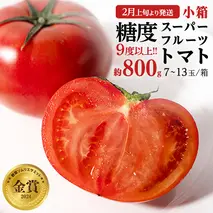 《 2026年収穫分 先行予約 》 糖度9度以上 スーパーフルーツトマト 小箱 約800g × 1箱  (7～13玉/1箱) フルーツトマト ブランドトマト 野菜 ギフト 贈答 [BC068sa]