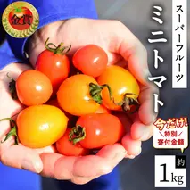 【12/31ご寄附分まで特別寄附額】 スーパーフルーツ ミニトマト 約1kg 2026年2月上旬発送開始 ミニトマト フルーツトマト ブランドトマト トマト とまと 野菜 [BC070sa]
