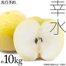 【 2025年8月中旬発送開始 】 幸水梨 約 10kg ( 茨城県共通返礼品 / 石岡市 ) 幸水 梨 フルーツ 果物 なし ナシ 新鮮 旬 期間限定 甘い 国産 [EY001sa]