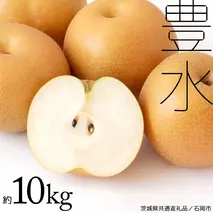 【 2025年9月上旬発送開始 】 豊水梨 約 10kg ( 茨城県共通返礼品 / 石岡市 ) 豊水 梨 フルーツ 果物 なし ナシ 新鮮 旬 期間限定 甘い 国産 [EY002sa]